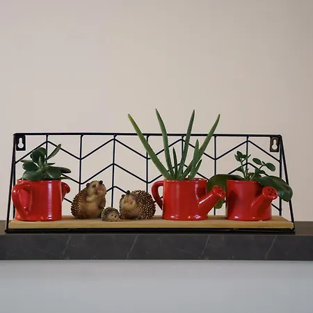 Tana Del Riccio 3* Ortona