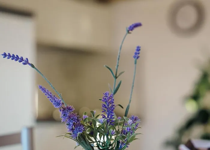 Bed and breakfast Tana Del Riccio 3*