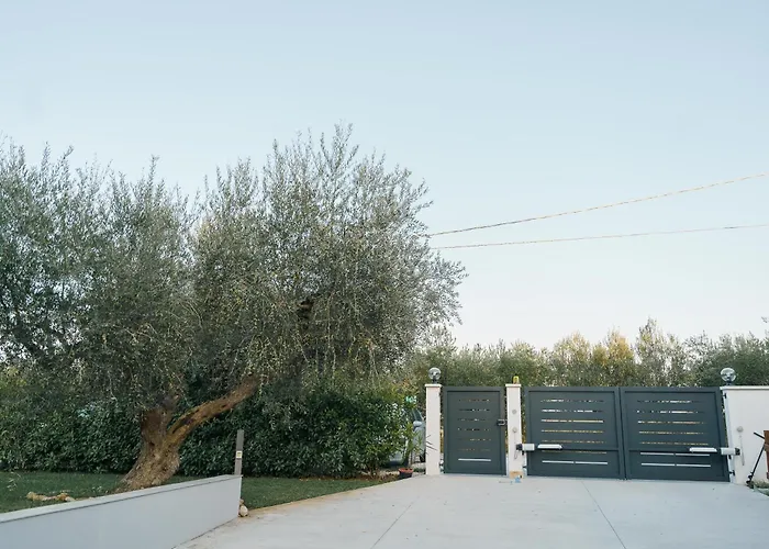 Tana Del Riccio Bed and breakfast 3*