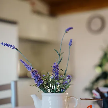 Bed & Breakfast Tana Del Riccio *