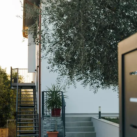 Tana Del Riccio Bed & Breakfast