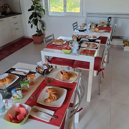 Tana Del Riccio 奥托纳